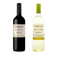 FOTOS SITE VINHO 266X266 (24)