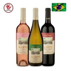 FOTOS SITE VINHO 266X266 (7)