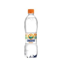 PRODUTOS SITE 266X266 (36)